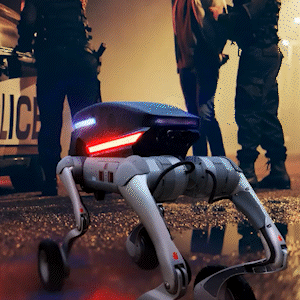 RADDOG LE2™, Designed by RAD•Mand Powered by RAD•G